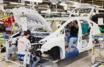 Vì sao Toyota xin mở rộng nhà máy thêm 9,1 héc ta?