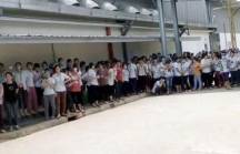 Thanh Hóa: Gần 6.000 công nhân đình công đòi quyền lợi