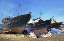 Bình Định: Ngư dân đòi trả lại tàu vỏ thép cho doanh nghiệp