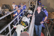 Hơn 2.000 bò sữa cao sản thuần chủng từ Mỹ được nhập khẩu về trang trại TH tại Thanh Hóa