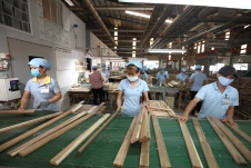 Việt Nam đứng thứ 5 trên thế giới về xuất khẩu gỗ