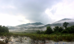 Tiềm năng du lịch sinh thái Vườn quốc gia Vũ Quang