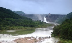 Đà Nẵng đề nghị Bộ TN&MT chỉ đạo thủy điện xả nước đẩy nhiễm mặn