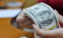 Dự trữ ngoại hối tiếp tục gia tăng, đạt xấp xỉ 48 tỷ USD