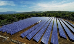 Đấu thầu giá mua điện mặt trời: Doanh nghiệp trong nước chưa đấu… đã thua?