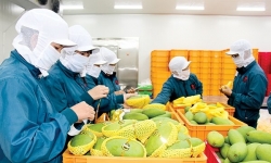 5 tháng đầu năm, Trung Quốc nhập khẩu gần 3,7 tỷ USD hàng nông sản Việt Nam
