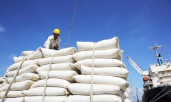 'Bối cảnh khẩn cấp', đằng sau ồn ào tạm dừng xuất khẩu gạo