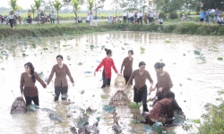 Du lịch nông nghiệp: Mô hình phát triển đầy hứa hẹn ở Nghệ An