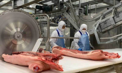 Thịt lợn giảm giá mạnh, mấy triệu hộ dân lại lo lắng