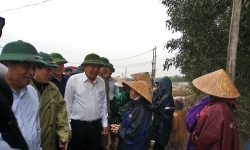 Quảng Trị đề nghị Trung ương hỗ trợ 500 tỷ đồng để khắc phục hậu quả sau thiên tai