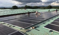 Kon Tum đốc thúc các nhà đầu tư dự án điện mặt trời áp mái