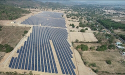LICOGI 16 Gia Lai chi 600 tỷ thực hiện dự án điện mặt trời Chư Ngọc giai đoạn 2