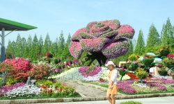 Việt Nam lần đầu làm lễ hội hoa quốc tế với tổng kinh phí 122 triệu Euro