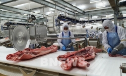 Tập đoàn AVG Capital Partners đầu tư Dự án tổ hợp chế biến thịt lợn 1,4 tỷ đô tại Thanh Hóa