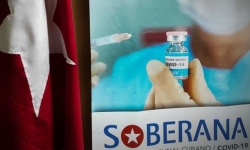 Cả thế giới đang bỏ quên Cuba, một 'cao thủ' vắc-xin trong đại dịch COVID-19
