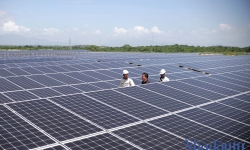 Ninh Thuận khảo sát hàng loạt dự án điện mặt trời, diện tích hàng trăm ha