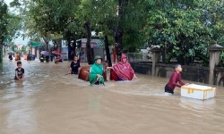 Nghệ An thiệt hại nặng về kinh tế do mưa lũ sau bão số 6