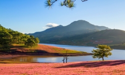 Lâm Đồng xin ý kiến Bộ Xây dựng về lập quy hoạch Khu du lịch Đankia - Suối Vàng rộng 4.000 ha