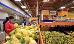 Nông sản Việt xuất khẩu: Bán giá cao ở thị trường thế giới vẫn chỉ là giấc mơ