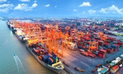 Thanh Hoá điều chỉnh dự án Cảng container Long Sơn 3.600 tỷ