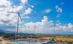 Ninh Thuận bứt phá nhờ tận dụng lợi thế phát triển điện mặt trời, điện gió