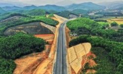 Gần 50 ha đất rừng bị ảnh hưởng nếu làm cao tốc Tân Phú - Bảo Lộc