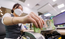 Kiểm soát tín dụng - Thực tiễn tại một số quốc gia và Việt Nam