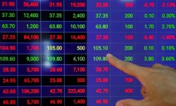 Cổ phiếu Bluechips tiếp tục 'đuối sức', VN-Index giảm hơn 8 điểm