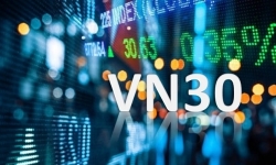 VN30 có mã ngân hàng thứ 11
