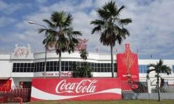 'Có thể thu về hàng nghìn tỷ đồng thuế từ thương vụ chuyển nhượng Coca-Cola Việt Nam'