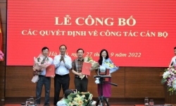 Ông Nguyễn Xuân Cường làm Cục trưởng Cục Đường bộ Việt Nam