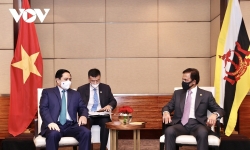 Thúc đẩy quan hệ Đối tác toàn diện Việt Nam - Brunei