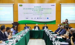 'Hàng tỷ USD đang chờ chảy vào lĩnh vực năng lượng xanh, logistics của Việt Nam'