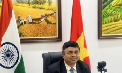 Thúc đẩy hợp tác thương mại - đầu tư giữa Việt Nam và bang Andhra Pradesh - Ấn Độ