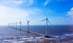 Quy hoạch điện VIII: Cơ hội mới cho điện gió ngoài khơi