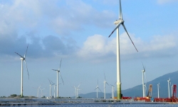 Chủ Nhà máy điện gió Phong Liệu báo lãi năm 2022 đạt 124 tỷ đồng