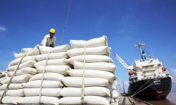 Gạo Việt sáng cửa tăng trưởng nhờ xuất khẩu