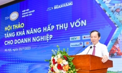 Hai 'cơn gió ngược' và hai 'vòng gió xoáy' của kinh tế Việt Nam