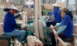 Kim ngạch xuất khẩu gỗ Bình Định mỗi năm đạt gần 1 tỷ USD