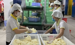 Doanh nghiệp Việt vẫn dè dặt trong kinh doanh