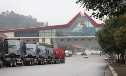 Hải quan Lạng Sơn công khai danh tính 417 doanh nghiệp nợ thuế