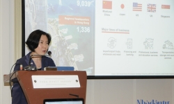 Nhiều cơ hội hỗ trợ hợp tác đầu tư hai chiều giữa Hồng Kông - Việt Nam