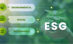 Áp dụng báo cáo ESG: Hướng đi nào cho doanh nghiệp Việt?