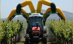 Khởi nghiệp nông nghiệp: Kinh nghiệm từ Israel