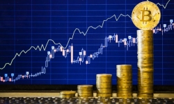 Giá bitcoin ngày 21/11: Tăng kỷ lục lên 8.212 USD