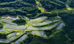 Chiêm ngưỡng nhà máy điện mặt trời xây trên sân golf, mỏ đá, đập nước của Nhật Bản