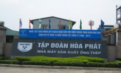 Dragon Capital mua hơn 1,8 triệu cổ phiếu Hòa Phát