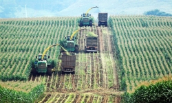 Doanh nghiệp nông nghiệp-thực phẩm “đổ bộ” UPCoM