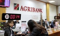 Chủ tịch HĐTV Agribank: 100.000 tỷ vướng ở tài sản thế chấp