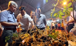 Quảng Nam mở chợ bán sâm Ngọc Linh